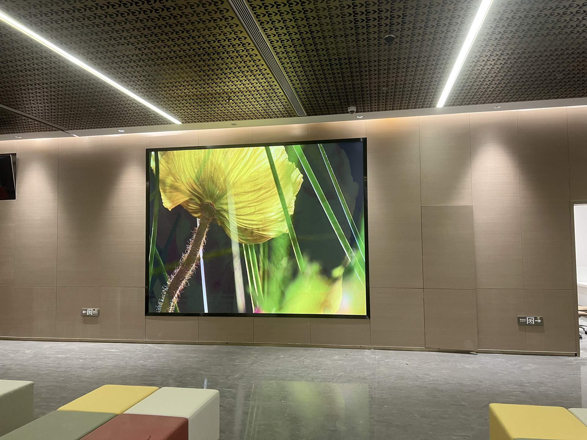 Tashkent indoor P2 LED display1