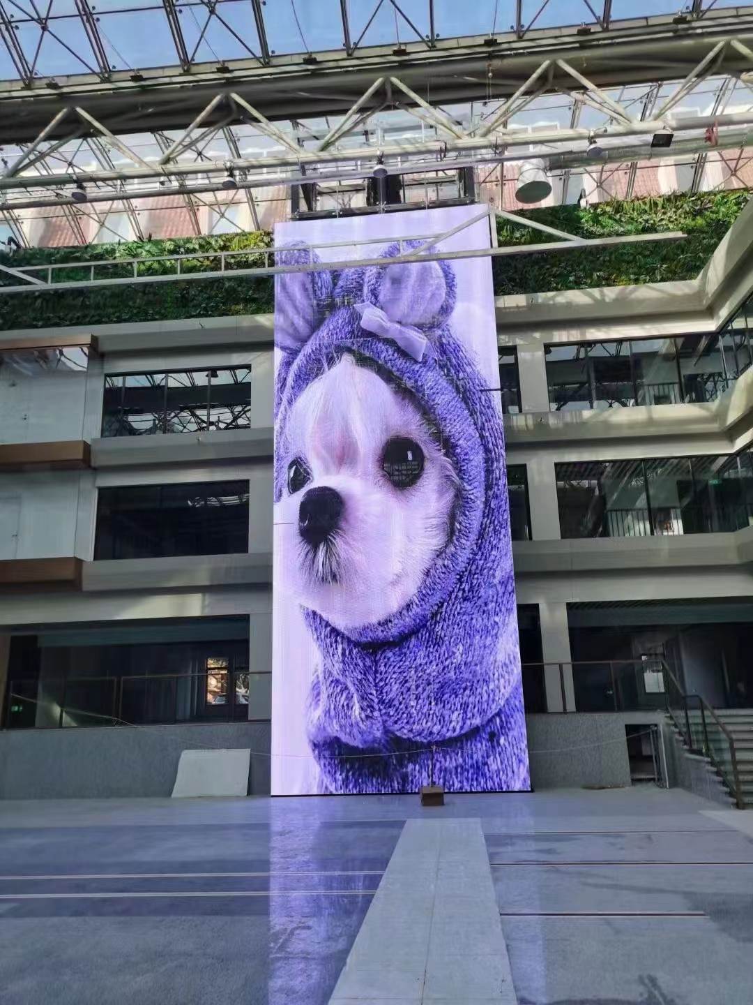 LED transparent screen4
